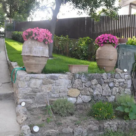 Grandma Jenny In The Center Of With Private Garden Apartment *
